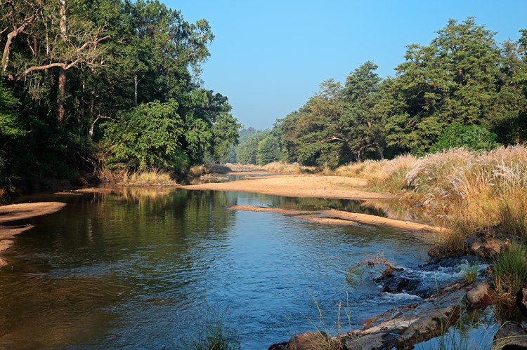 Kanha Nationaal Park
